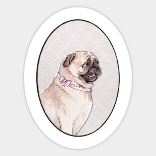 Mrs. Pug Sticker